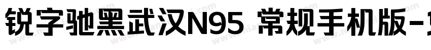 锐字驰黑武汉N95 常规手机版字体转换